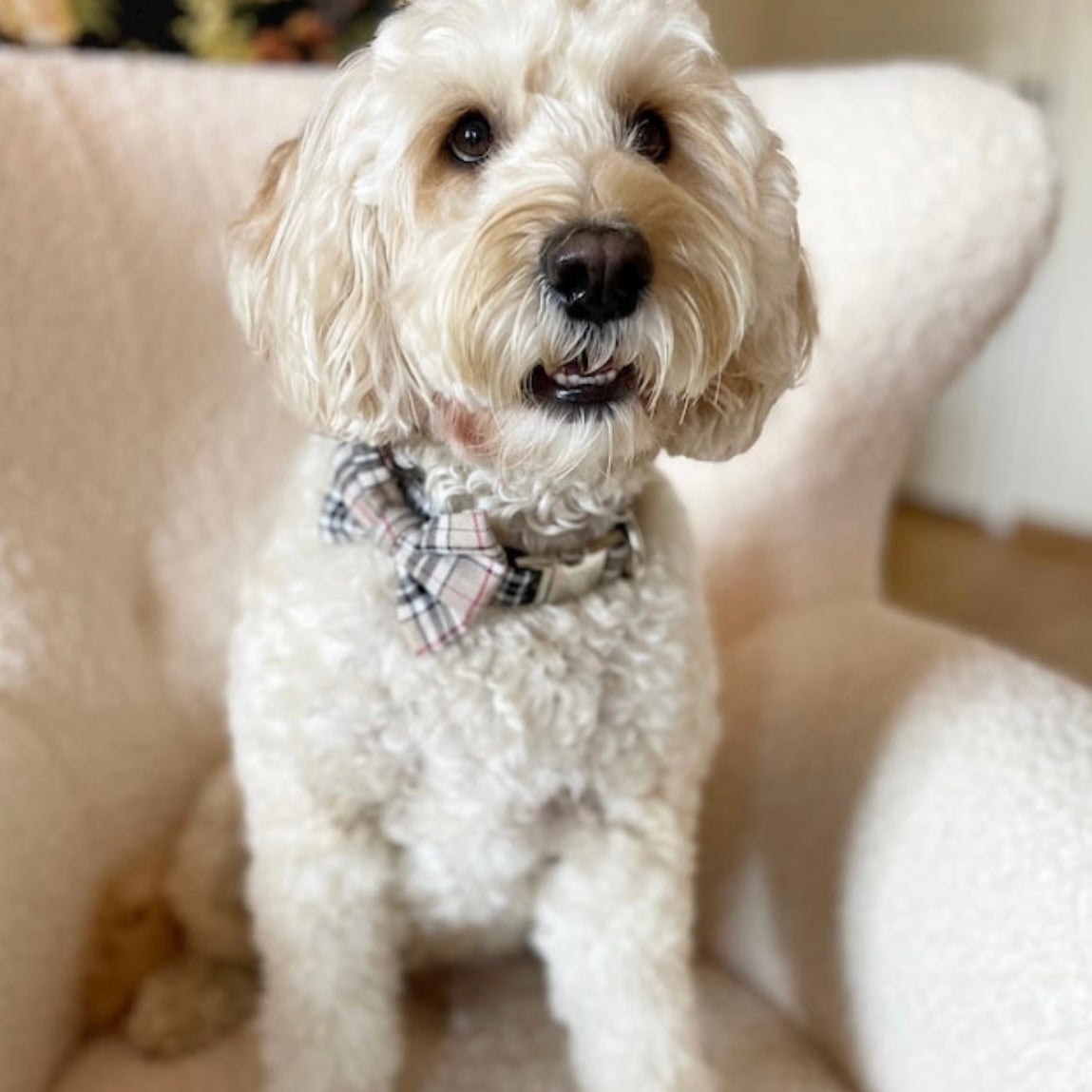 Beige tartan bow tie