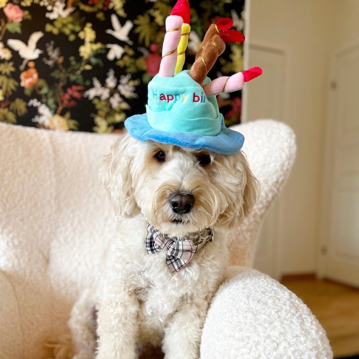 Beige tartan bow tie