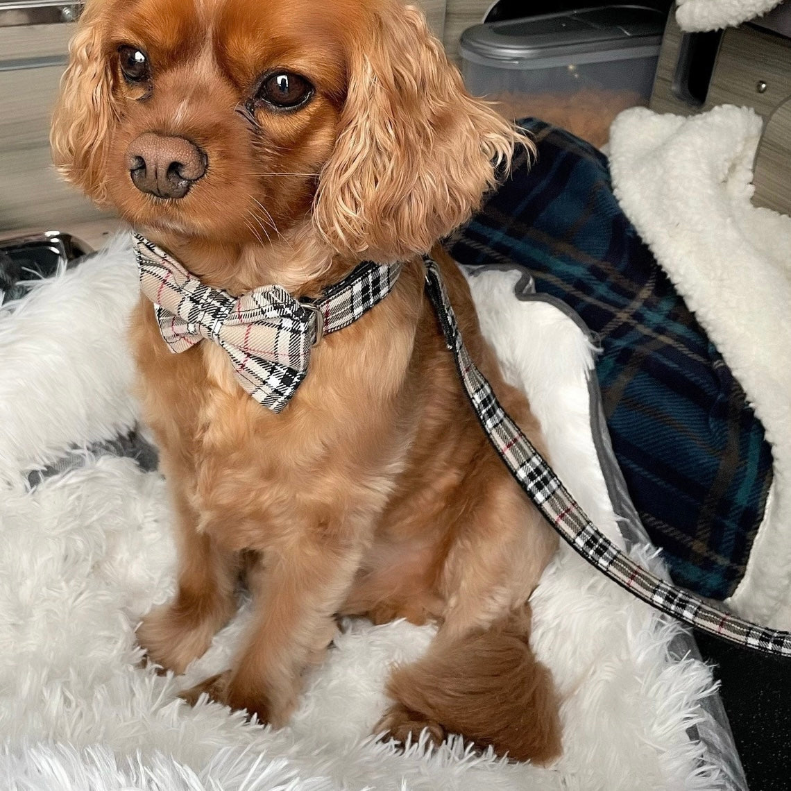 Beige tartan bow tie
