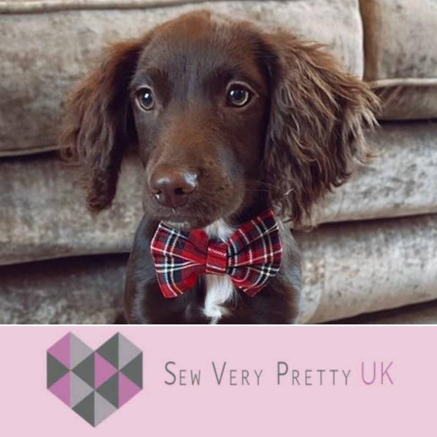 Red tartan bow tie