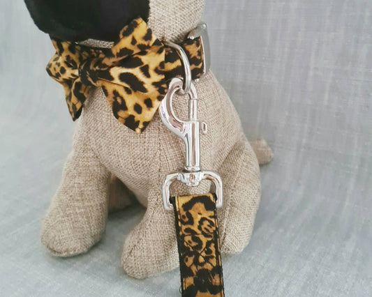 Leopard print collar, lead and bow set