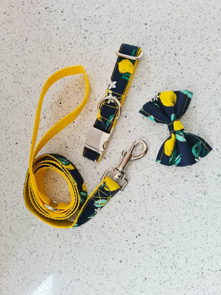 Lemon and navy collar, lead and bow set