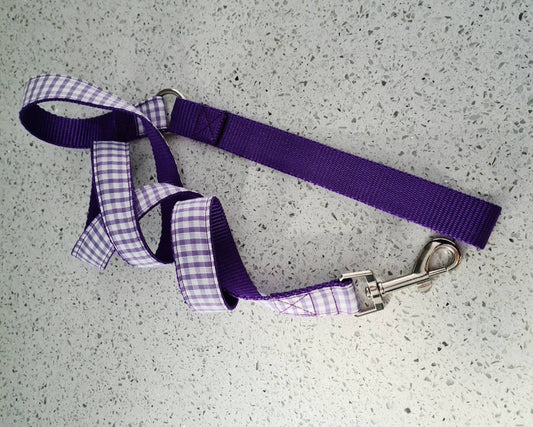 Purple gingham dog lead