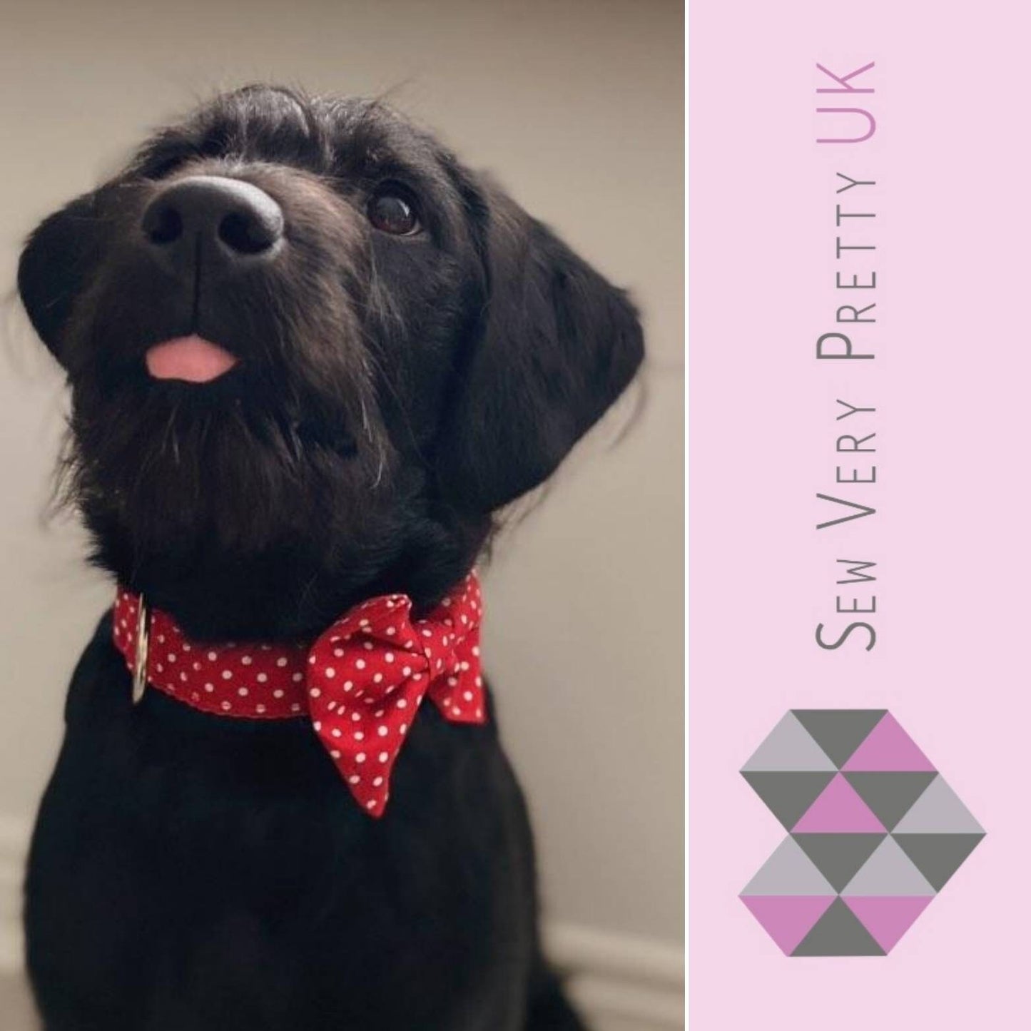 Red polka dot bow tie