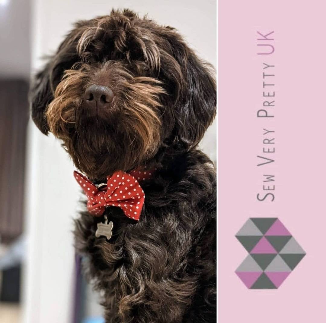 Red polka dot bow tie