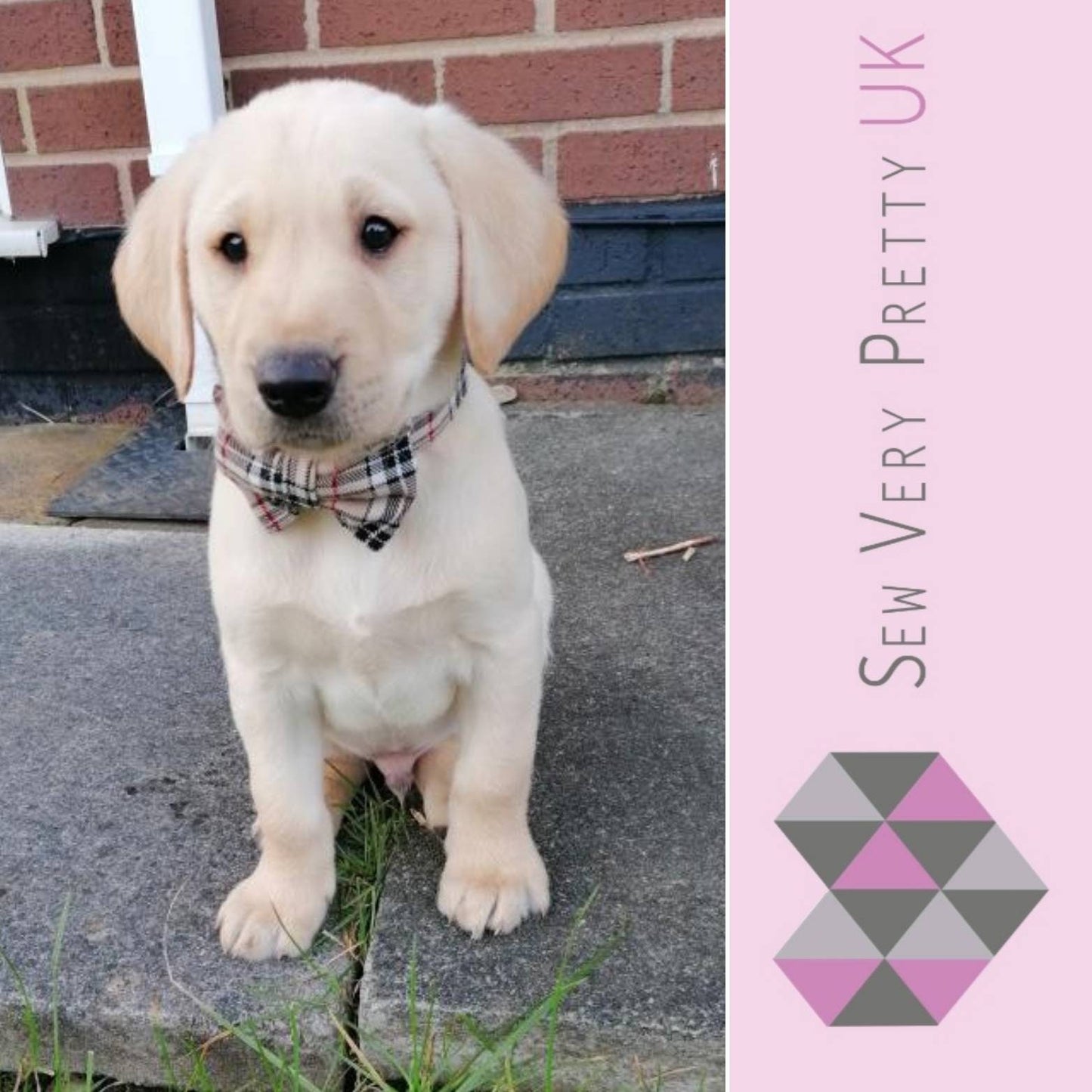 Beige tartan collar, lead and bow set