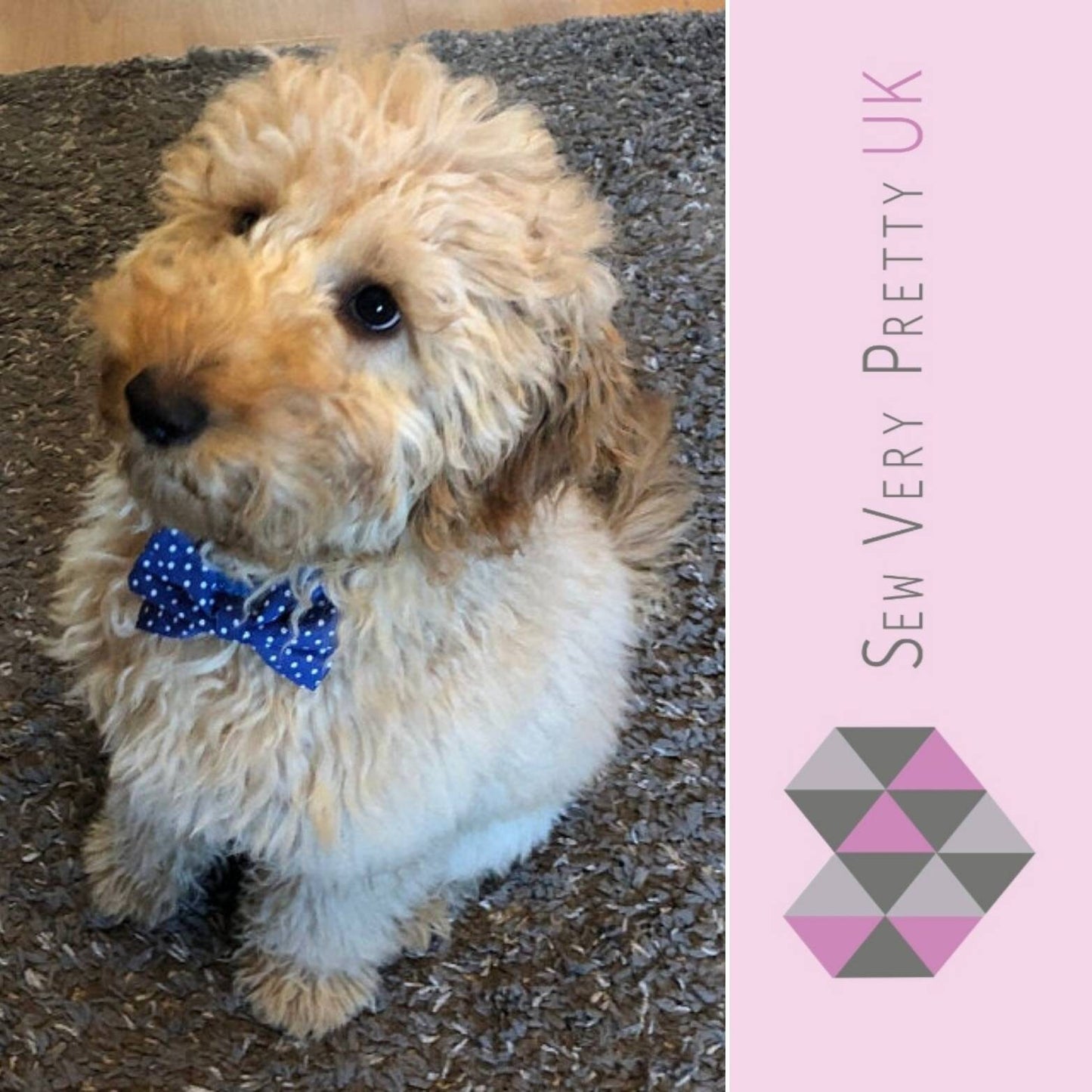 Blue polka dot bow tie