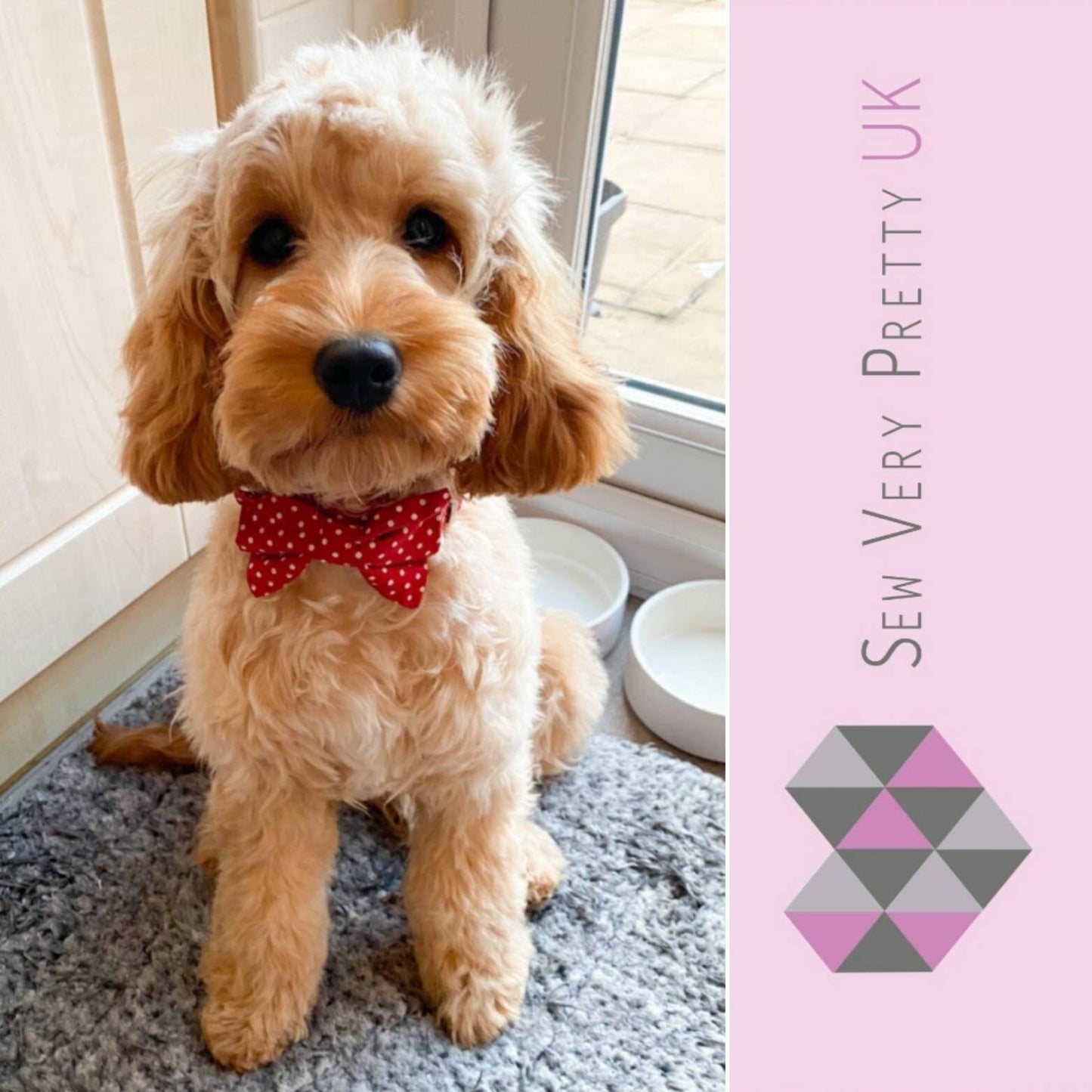 Red polka dot bow tie