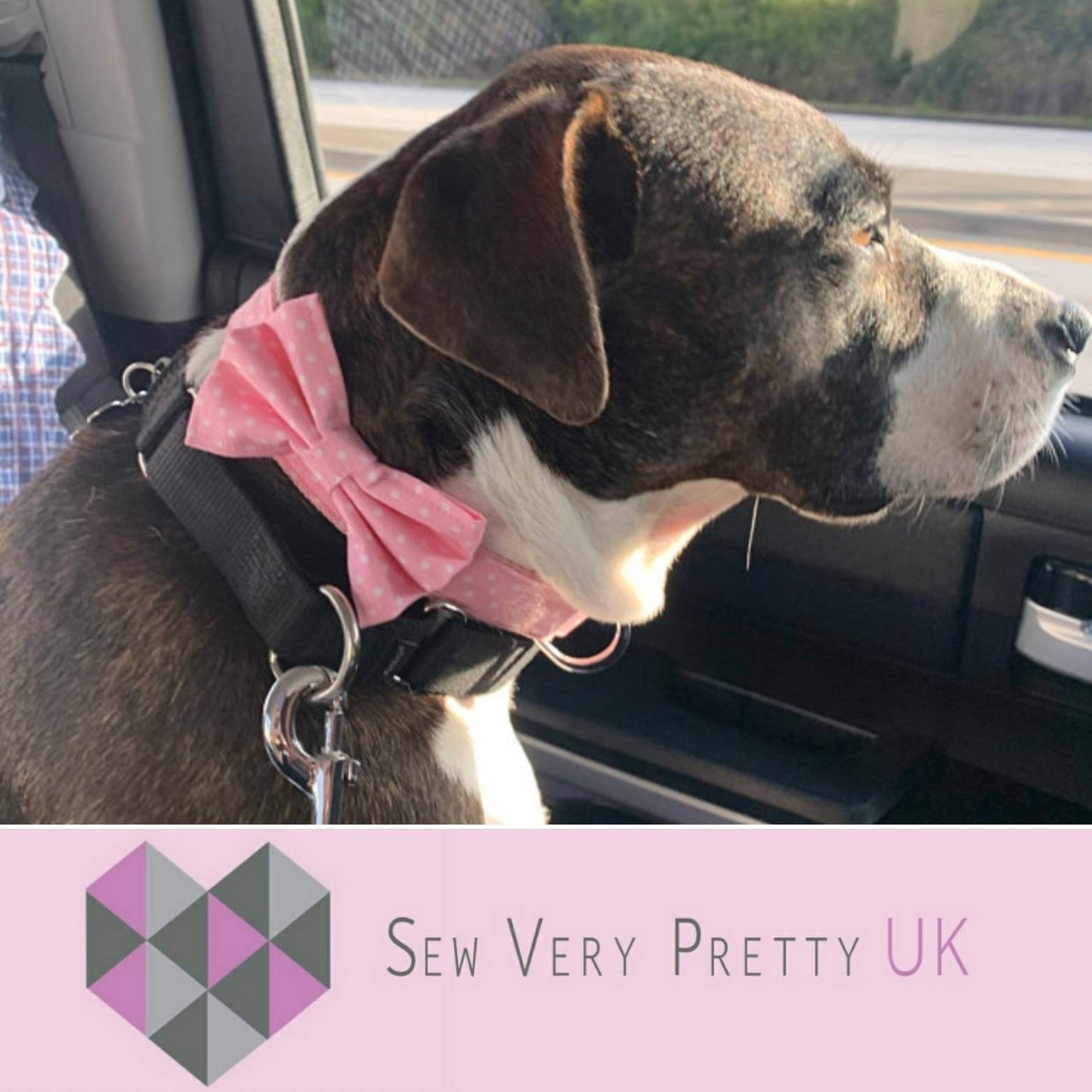 Pink polka dot bow tie