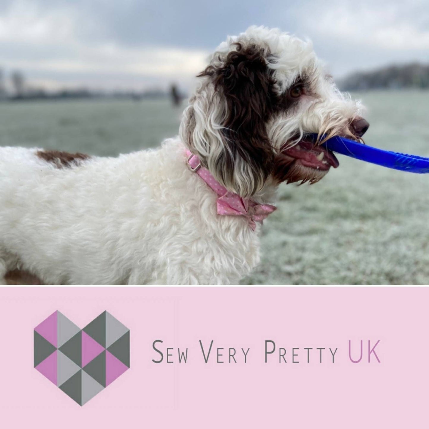 Pink polka dot bow tie