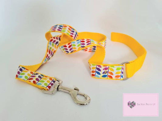 Rainbow dog lead