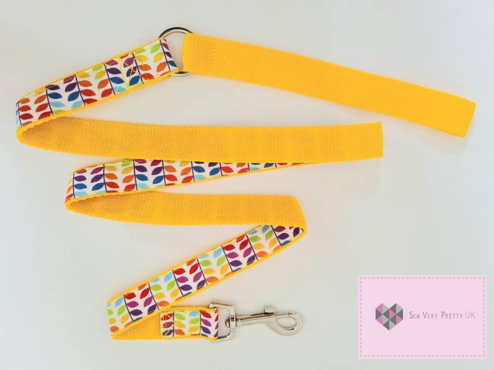 Rainbow dog lead