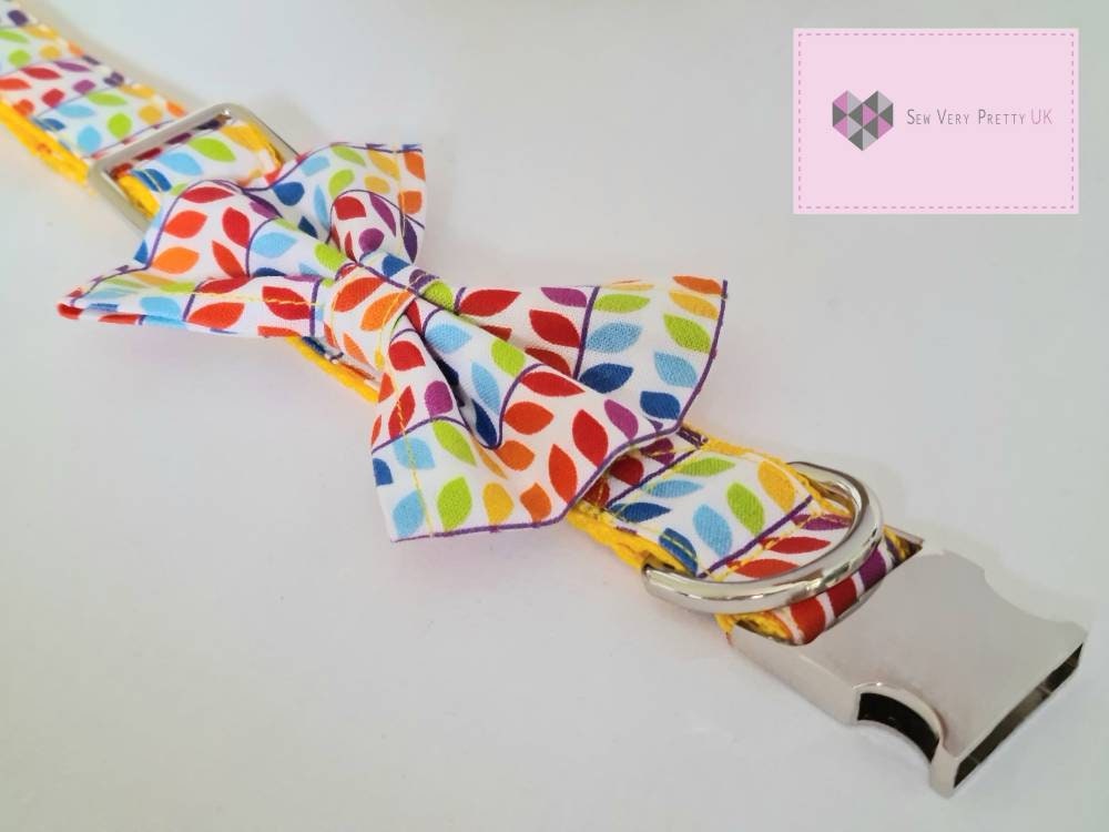Rainbow collar, lead and bow set