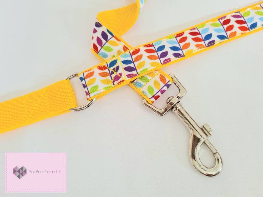 Rainbow dog lead