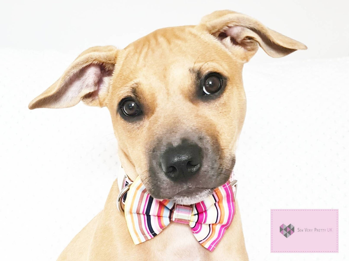 Pink stripe bow tie