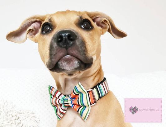 Green stripe bow tie