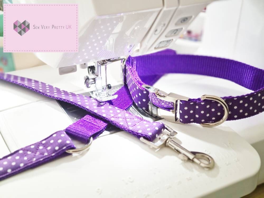 Purple polka dot collar, lead and bow set