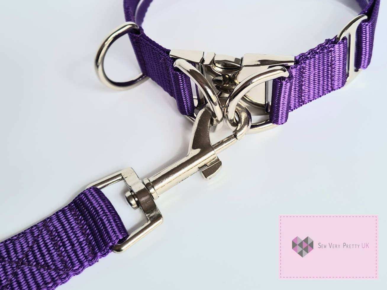 Double lock dog collar