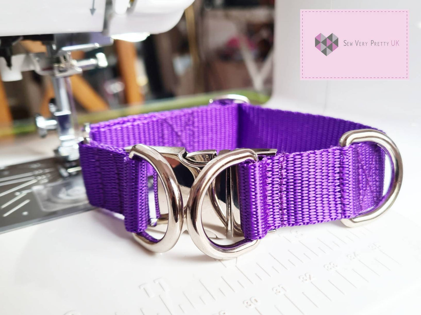 Double lock dog collar