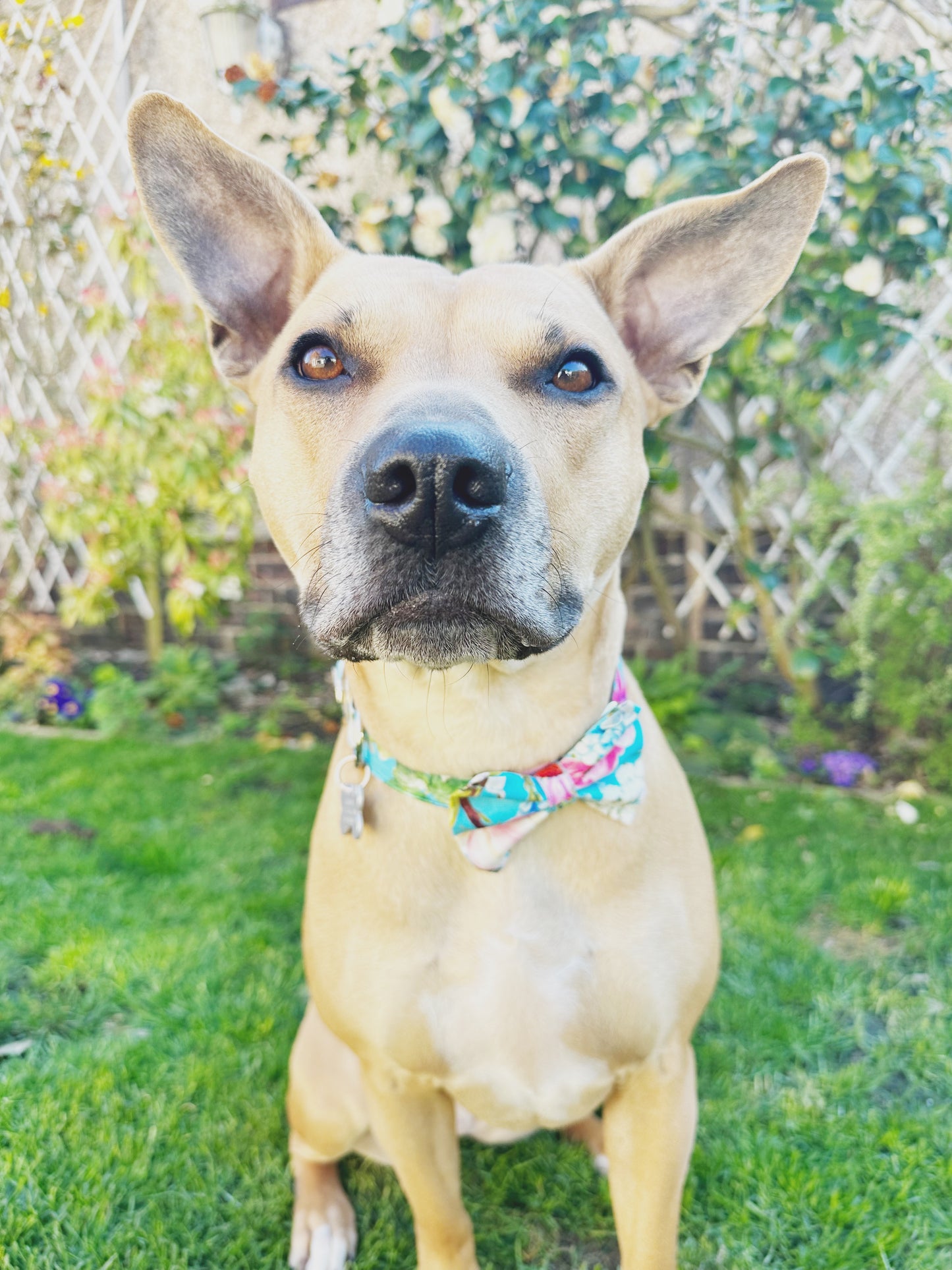 Wild Flowers Bow Tie