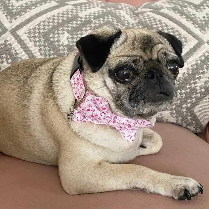 Pink floral bow tie