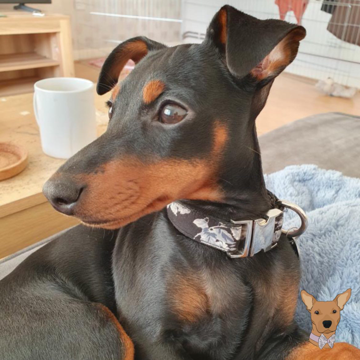 Rose monochrome dog collar