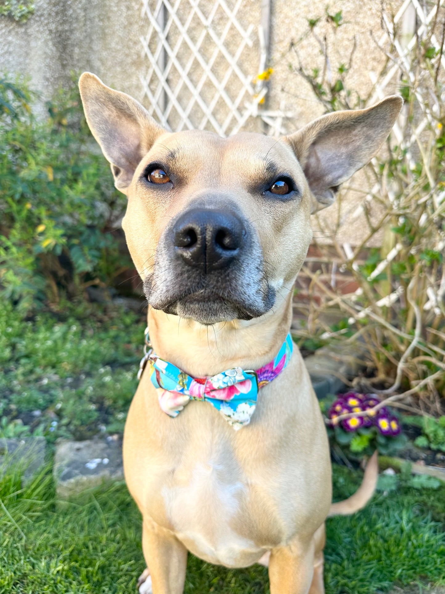 Wild Flowers Bow Tie
