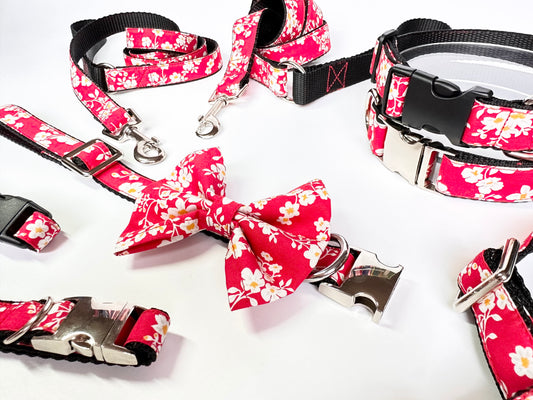Japanese Blossom Collar, Lead & Bow Set