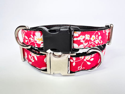 Japanese Blossom Dog Collar