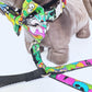 Little Monsters Dog Collar