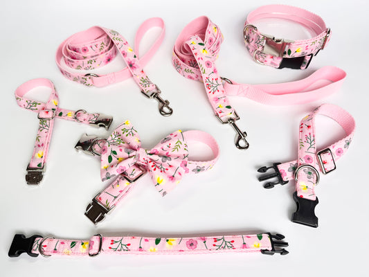 Pretty In Pink Collar, Lead & Bow Set