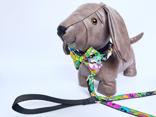Little Monsters Collar, Lead & Bow Set