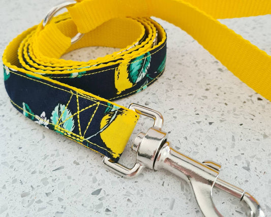 Lemon and navy dog lead