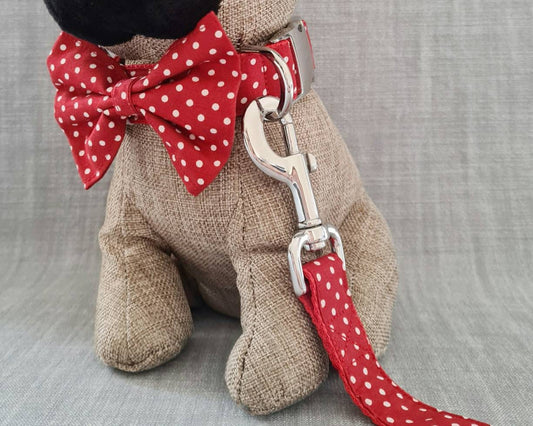 Red polka dot collar, lead and bow set