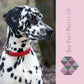 Red polka dot dog collar