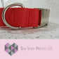 Red dog collar