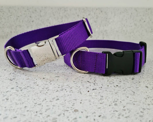 Purple dog collar