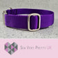 Purple dog collar