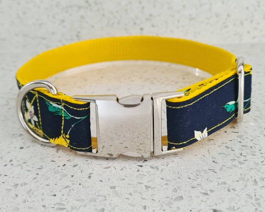 Lemon and navy dog collar