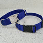 Blue dog collar