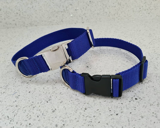 Blue dog collar