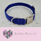 Blue dog collar