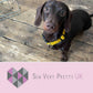Girl boy small medium large custom dog collar gifts