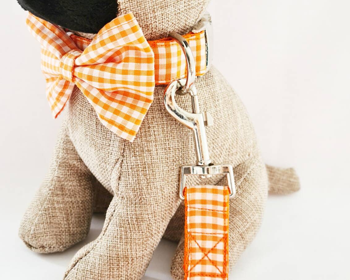 Orange gingham collar, lead and bow set