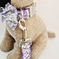 Purple floral collar, lead and bow set