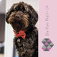 Red polka dot bow tie