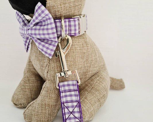 Purple gingham collar, lead and bow set