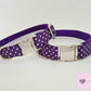 Purple polka dot dog collar