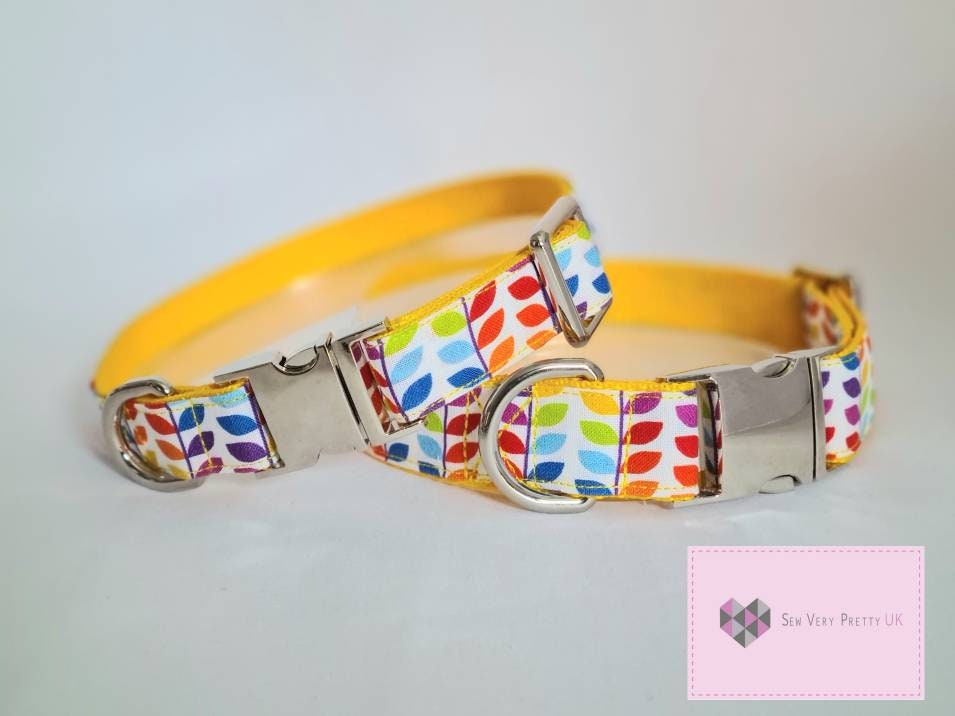 Rainbow dog collar