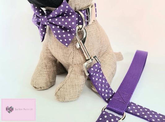 Purple polka dot collar, lead and bow set